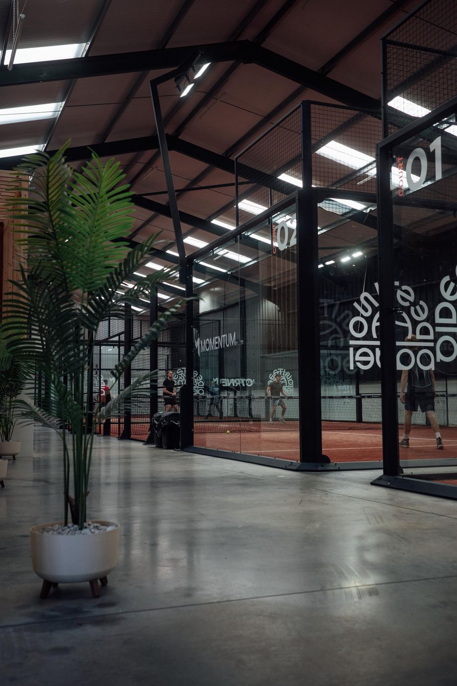 A long walkway beside glass-walled indoor padel courts with a potted palm in the foreground